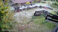 Miniaturansicht