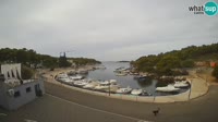 Trebocconi - Sovlje Marina