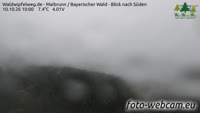 Maibrunn - Waldwipfelweg - Foresta Bavarese