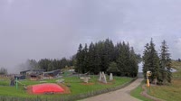 Fieberbrunn - Streuböden Mittelstation