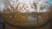 Sisak - Kupa