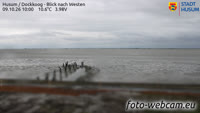 Husum - Dockkoog