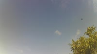 Zerbst/Anhalt - Dorfstätte