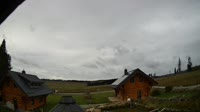 Oberharz am Brocken - Tanne