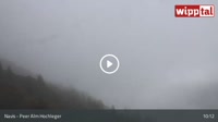 Navis - Tuxer Alpen - Peer Alm Hochleger