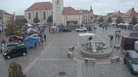 Dobřany - Náměstí, biotop
