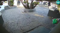 Lloret de Mar - Dr. Döner