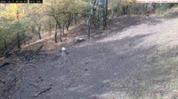 Veszprém - Vogelhäuschen