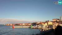 Miniaturansicht