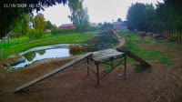 Kozubszczyzna - Bociani Azyl - Teich