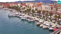 Split - Port