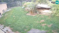 Ljubljana - ZOO