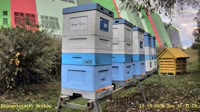 Bienenhaus
