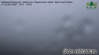 Maibrunn - Waldwipfelweg - Foresta Bavarese