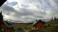Oberharz am Brocken - Tanne