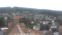 Markdorf - Störche