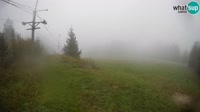 Vignette