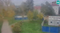 Vignette