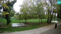 Vignette