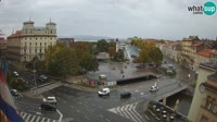 Vignette