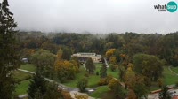 Vignette
