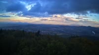 Vignette