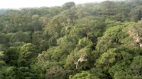 Réserve de biosphère de Yangambi