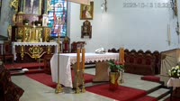 Jeleń - Iglesia