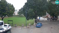 Vignette