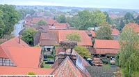 Hohne - Cigognes