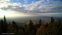 Vignette