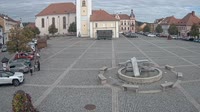 Vignette