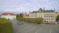 Vignette