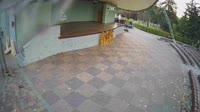 Vignette