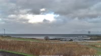 Laukvik