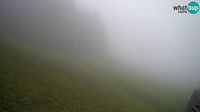 Vignette