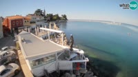 Novigrad - Porporela