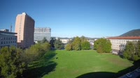Miniaturansicht