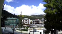 Vignette