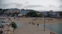 Vignette