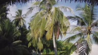 Akasdhoo - Hard Rock Hotel Maldives