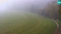 Vignette