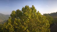 Bosia - Vue panoramique