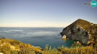 Ponza - Cala Cecata