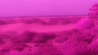 Gran Kanarija - Maspalomasas - Mirador Dunas