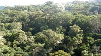 Jangambi biosferos rezervatas