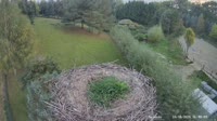 Strzelce - Cigognes