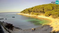 Mali Lošinj - Sunčana uvala beach