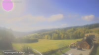 Zalesie - Mogielnica