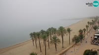 Roses - Beach